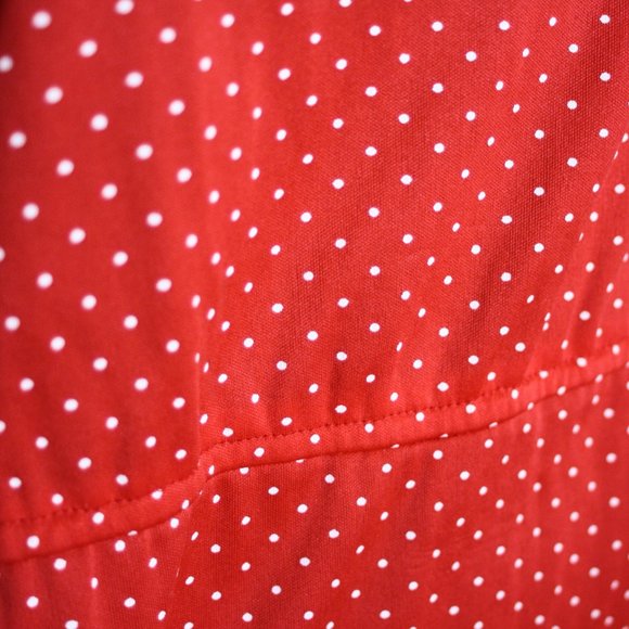 Vintage Polka Dot Dress - Picture 6 of 7